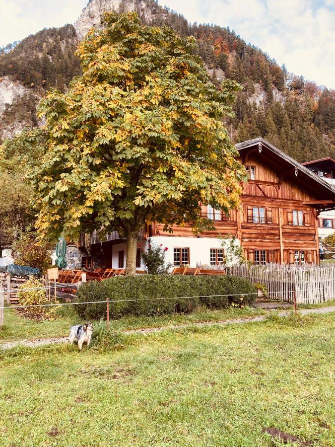 Apartment Schankwirtschaft Wohlfart Pfronten